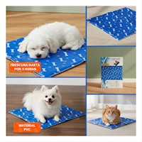 Base Compacta Anticalor con Estilo Huesitos Azul S Y+Ligas Regalo